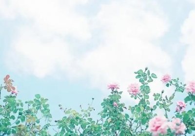 ​李修平现任丈夫叫什么名字？老公张春贤比自己小10岁