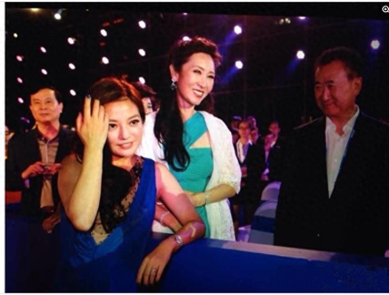 王健林老婆林宁,自己拥有投资集团,气质不凡,背景深厚