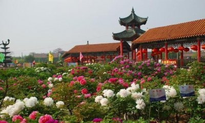 ​山东一座即将崛起城市,被国家“中央”选中,有望成为下一个济南