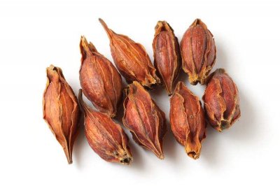 ​栀子黄 含栀子黄的面条能给孩子吃吗？