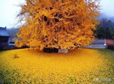 ​感恩节暖心句子（感恩节说说经典温暖）