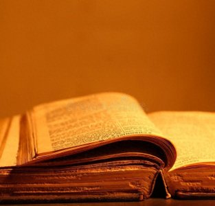 ​《人类的故事》读后感