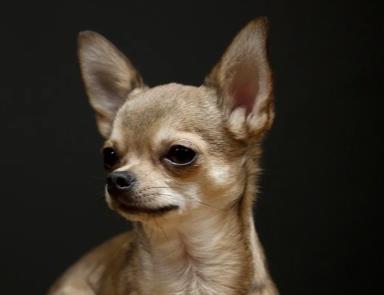 cf3d048c3110a327fe315f1582bf81e3.png 截屏2025-09-23 09.40.31.png