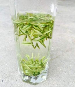 ​安吉白茶的功效与作用（消炎护牙 缓压明目）