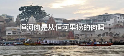 ​恒河肉是从恒河里捞的肉吗（恒河肉是啥东西）