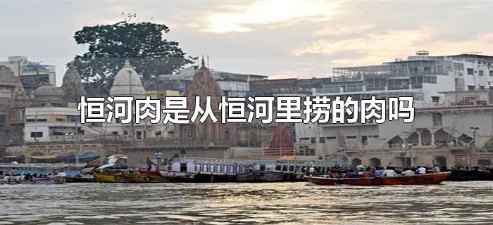 恒河肉是从恒河里捞的肉吗 恒河肉是从恒河里捞的肉吗