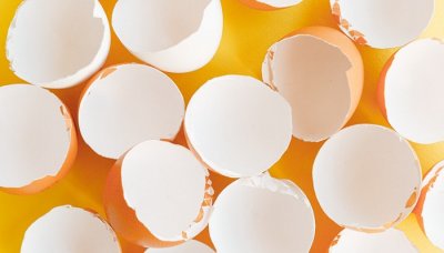 ​鸡蛋的保质期