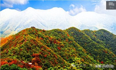 ​练气 ， 练意， 收 功