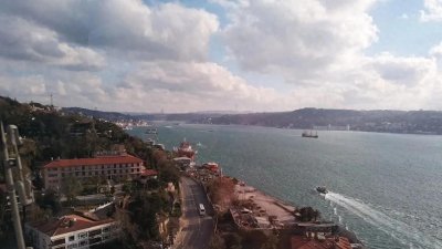 ​伊斯坦布尔为什么有那么多猫？《伊斯坦布尔：一座城市的记忆》