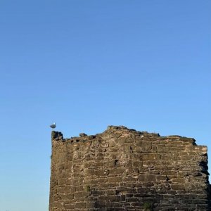 ​盘尼西林EP《岛与黎明》上线 用音乐讲一个故事