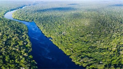 ​亚马逊雨林究竟有多恐怖？颠覆你的认知