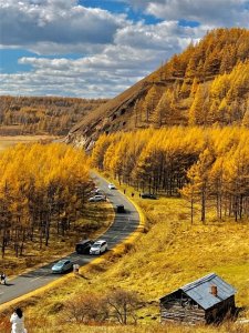 ​沈阳-阿尔山！周末48小时超详细旅游攻略！最美金秋阿尔山我来啦