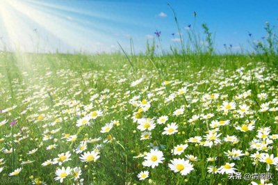 ​想让男生喜欢你，学会这10招