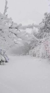 ​山东烟台威海大雪积雪深度74厘米，全国新高！点击查看惊人画面！