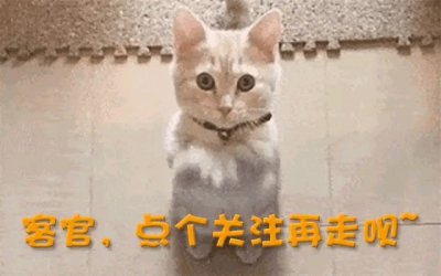 ​《白日梦想家》：献给“打工人”的一封情书，生活不止眼前的苟且