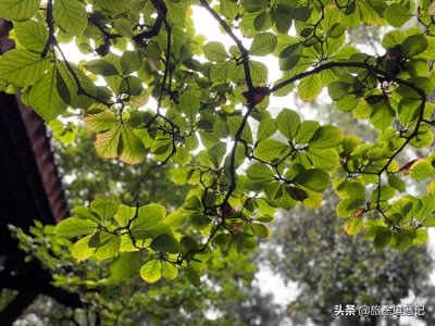 ​重走阴平小道，感受邓艾伐蜀的艰难，看江油关对蜀汉究竟有多重要