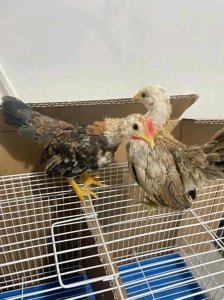 ​十维空间变态到无以复加，人一旦进去既死亡又永恒