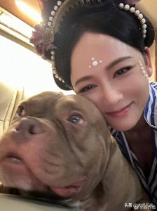 ​10万人围观直播！网红小狗洗澡致死！陈乔恩发文指控谋杀反被炮轰