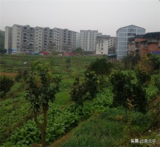 ​重庆市涪陵区酒井场