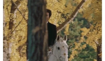 ​“白马王子”可不是white horse prince，英语里用这个词