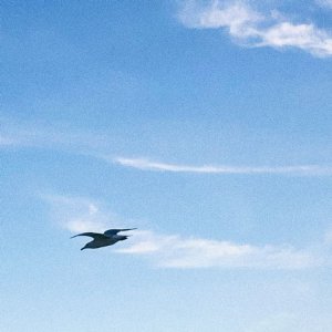 ​昆士兰大学国内承认吗？