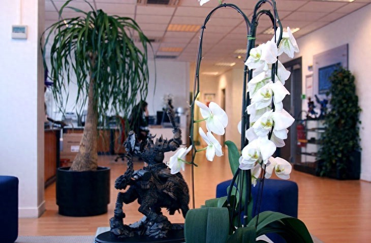 带你走进魔兽的老巢 全方位了解暴雪公司