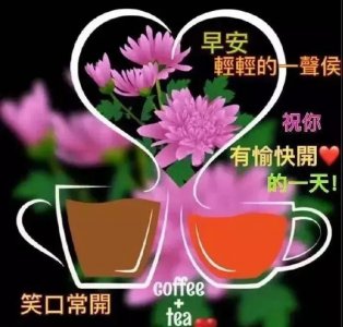 ​美女表情包：一个人越谦恭，越低调，越是不可战胜的