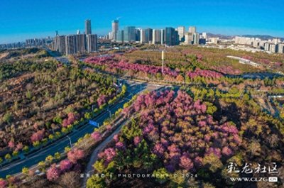 ​彩云故乡美春城 向往之地醉呈贡