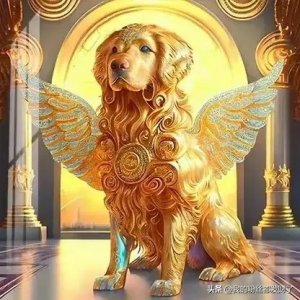 ​1970年出生在不同月份的属狗的整体运势，早知道