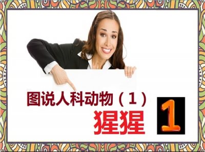 ​图说人科动物（1）——猩猩