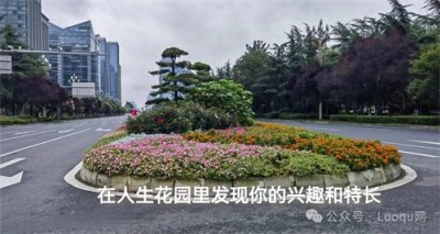 ​选择专业时如何判断自己的兴趣和特长