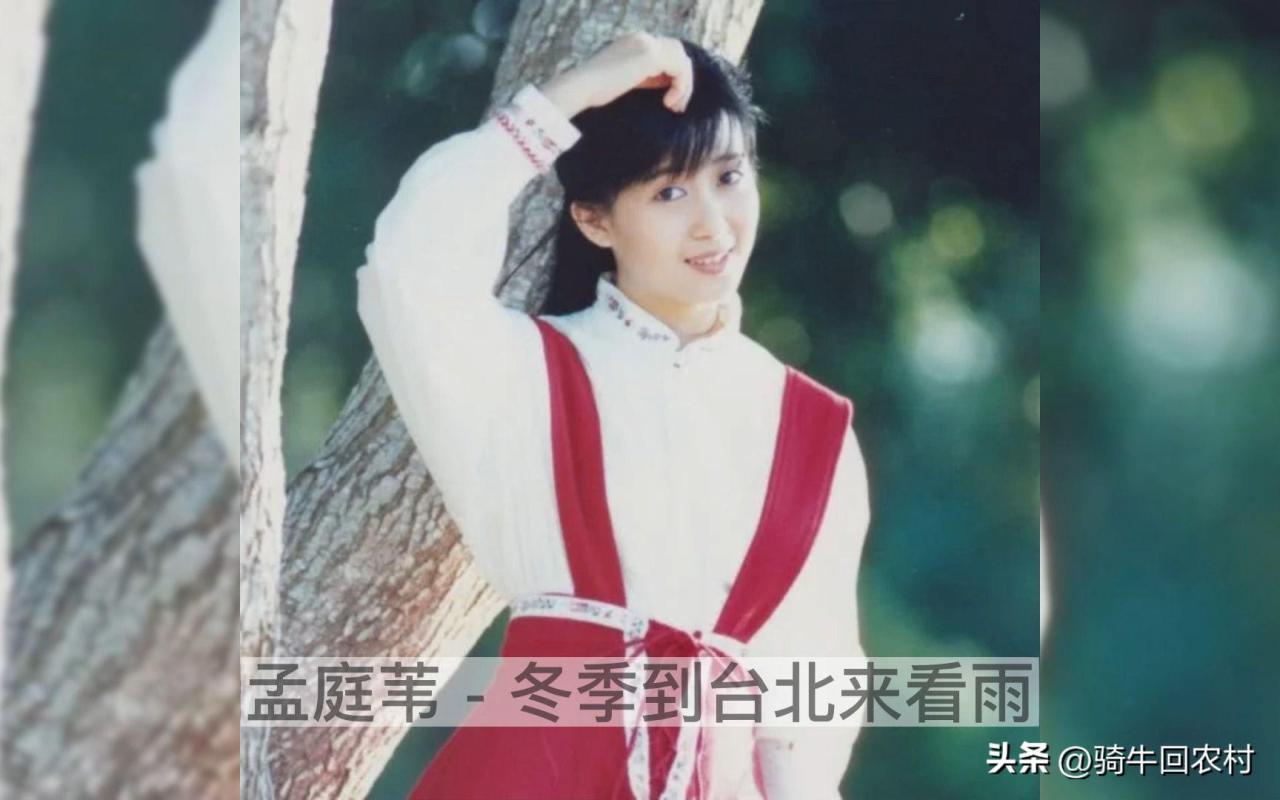 孟庭苇个人资料简介（孟庭苇现状如何）-