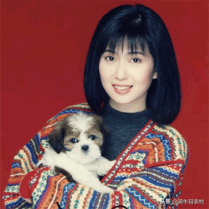 ​孟庭苇个人资料简介（孟庭苇现状如何）