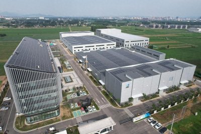 ​肥城：花香蝶自来，雨润枝叶茂