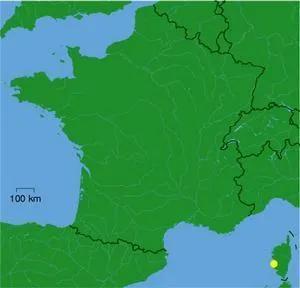 拿破仑的一些简介