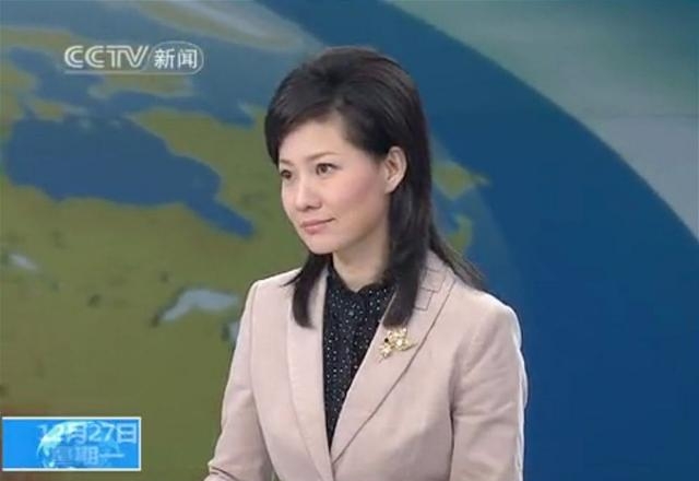 央视主持人杨晨简历(央视主持人杨晨去哪里了) 央视 主持人 第1张