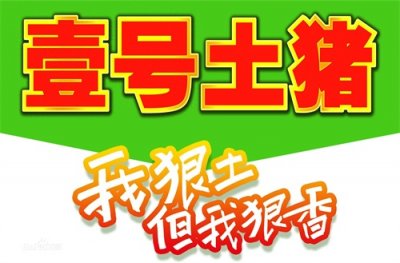 ​北大毕业做屠夫身价过亿，盘点壹号土猪成功的四点原因