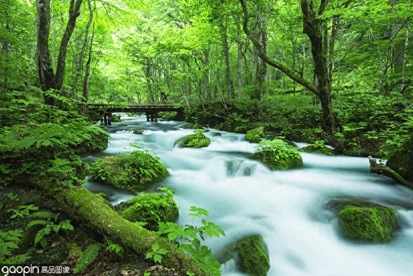 日本的长寿县之一，美丽又鲜氧——青森县