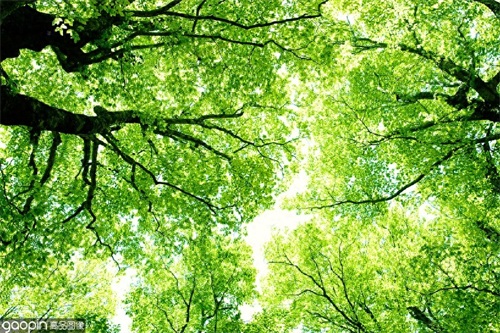 日本的长寿县之一，美丽又鲜氧——青森县