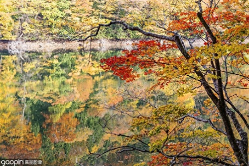 日本的长寿县之一，美丽又鲜氧——青森县