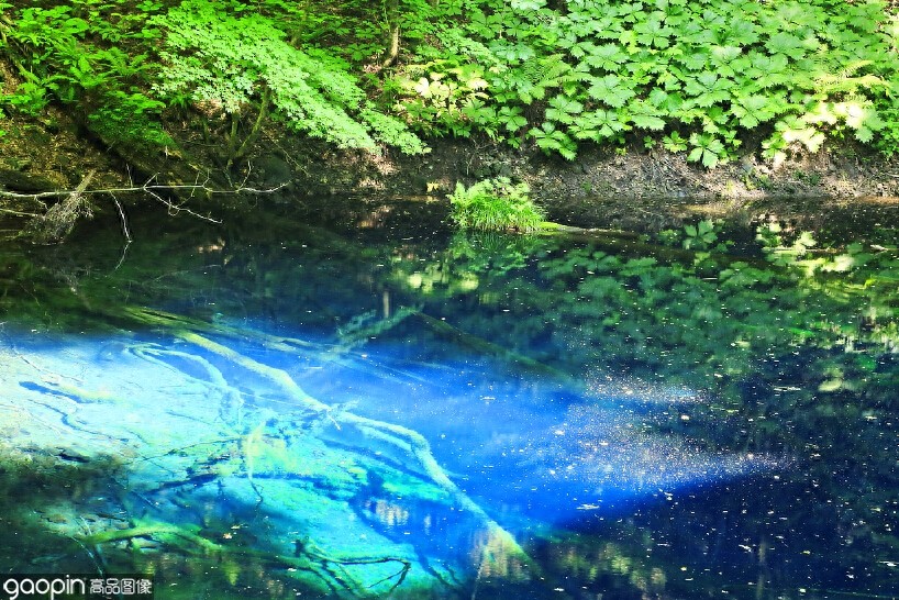 日本的长寿县之一，美丽又鲜氧——青森县