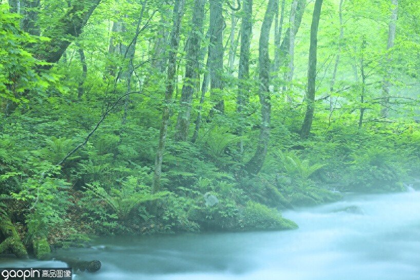 日本的长寿县之一，美丽又鲜氧——青森县