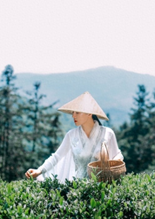 河南健身女神刘叶琳，白衣赤脚化身采茶女，有几分李子柒的味道