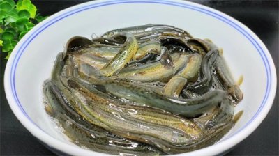 ​大厨教你做泥鳅好吃的做法，比饭店的还香，鲜嫩入味，太过瘾了