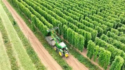 ​农业机器人应用领域及优缺点