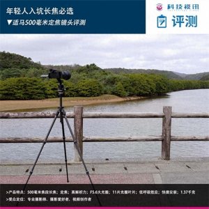​年轻人入坑长焦必选 适马500毫米定焦镜头评测