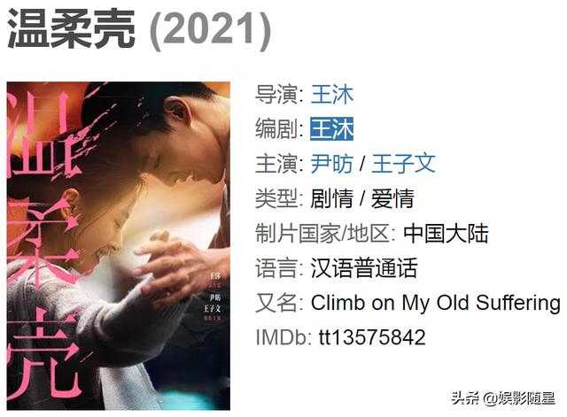 王子文电视剧有哪些(温柔壳计日而待)(8)