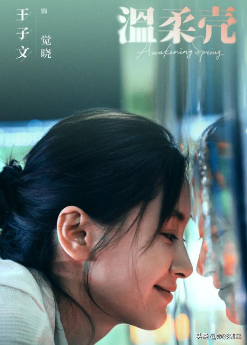 王子文电视剧有哪些(温柔壳计日而待)(4)