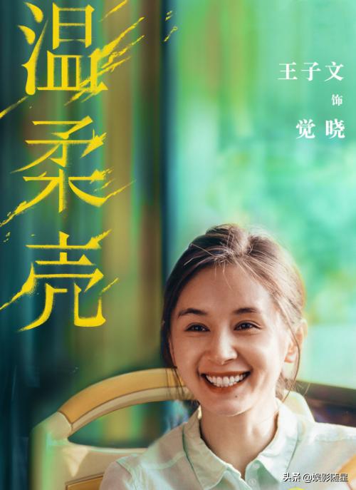 王子文电视剧有哪些(温柔壳计日而待)(5)