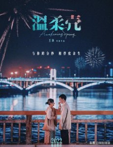 ​王子文电视剧有哪些（温柔壳计日而待）